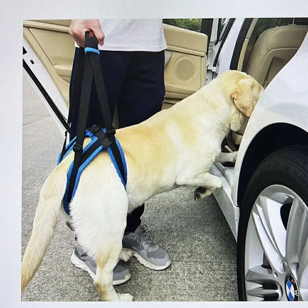 Rozkitch Pet Dog Support Harness Rear Lifting Medium